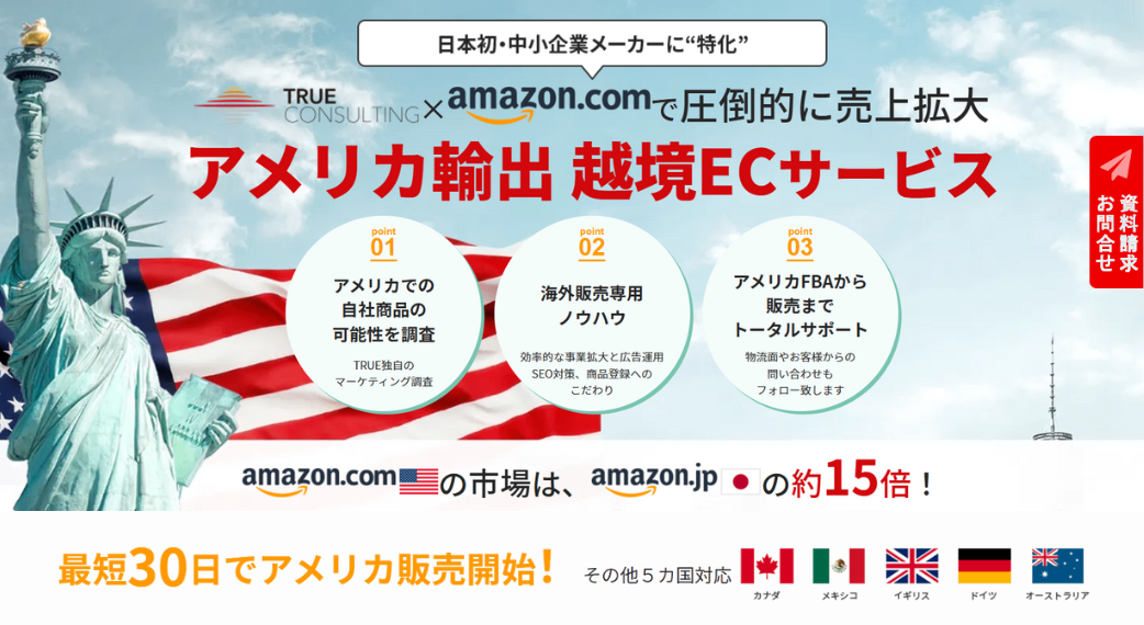 トゥルーコンサルティング紹介画像の1枚目